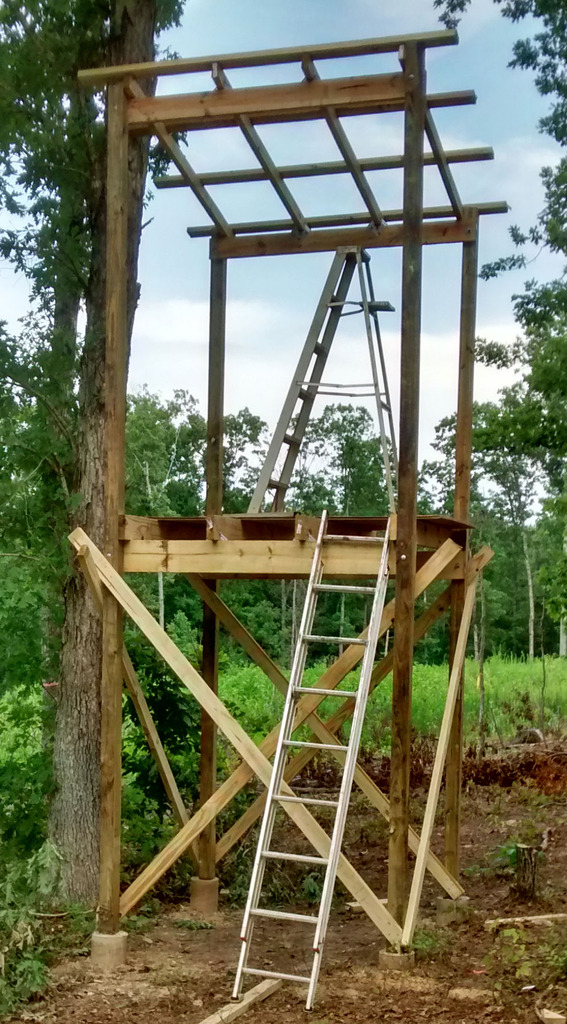 Foodplot Stand Transfered From The Qdma Forum All Things